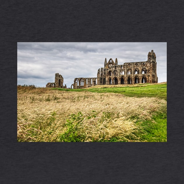 Whitby Abbey Yorkshire, UK, Side View by tommysphotos